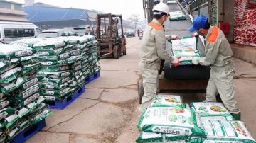 Giá phân bón giảm mạnh, doanh nghiệp và người nông dân chia sẻ khó khăn