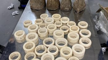 Phát hiện hơn 16kg sừng tê giác và ngà voi vận chuyển qua đường hàng không