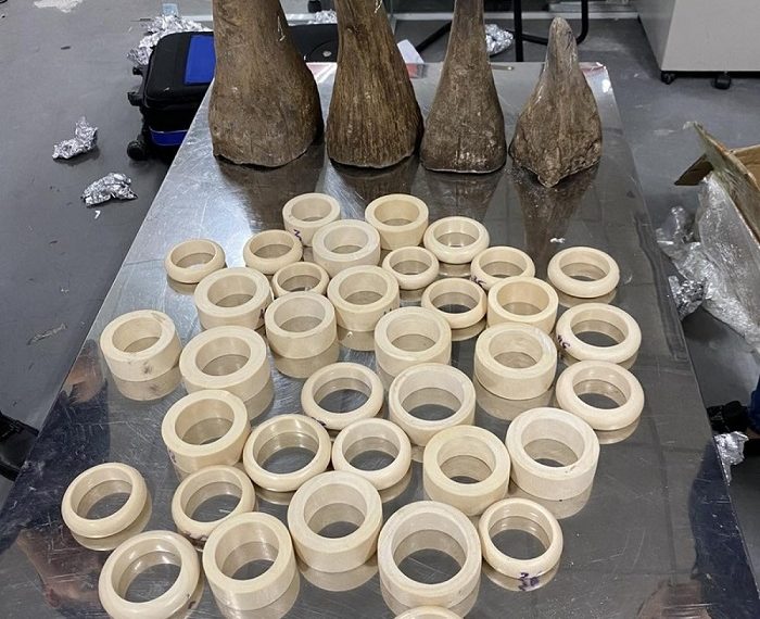 Phát hiện hơn 16kg sừng tê giác và ngà voi vận chuyển qua đường hàng không