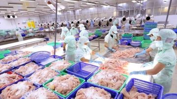 “Gỡ khó” cho cá tra tại các thị trường trọng điểm