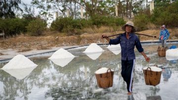 Để du lịch Cần Giờ phát triển bền vững