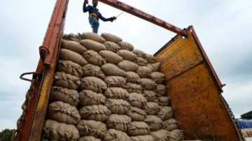 Vừa đoạt giải ngon nhất thế giới, giá xuất khẩu ‘hạt ngọc trời’ của Việt Nam tăng sốc ra sao kể từ đầu năm?