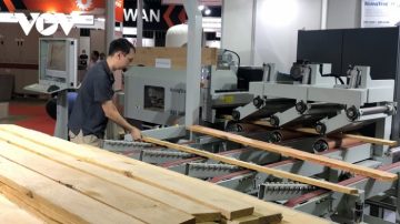 Cước phí vận tải biển tăng sốc, doanh nghiệp xuất khẩu đuối sức