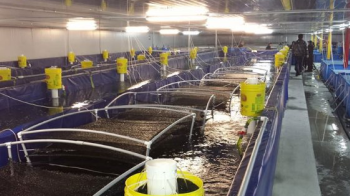 3 cường quốc của thế giới cùng ‘tranh giành’ một mặt hàng của Việt Nam: Nước ta đứng top 3 toàn cầu, thu gần nửa tỷ đô chỉ trong 2 tháng