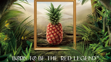 Một loại quả ‘rẻ bèo’ ở chợ Việt hoá thành ‘ngọc đỏ quý hiếm’ hơn 10 triệu VNĐ 1 quả, mất 15 năm lai tạo, ‘sơ hở’ là cháy hàng