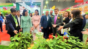 Khai mạc Triển lãm quốc tế công nghiệp thực phẩm Việt Nam 2024