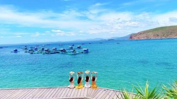 Miễn phí vé tàu du khách đến Bình Định dịp kỷ niệm 50 năm ngày giải phóng