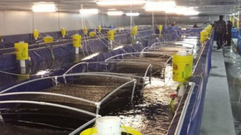 Một loại ‘siêu thực phẩm’ của Việt Nam vừa mang về nửa tỷ USD trong 2 tháng đầu năm: Ấn Độ, Ecuador tăng mạnh nhập khẩu, nước ta là ông trùm đứng thứ 2 thế giới