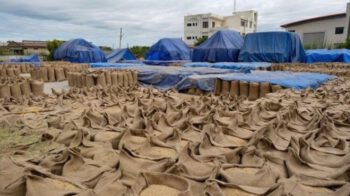 Vượt Thái Lan, Việt Nam sẽ có mặt hàng xuất khẩu top 2 thế giới, chinh phục hơn 150 quốc gia