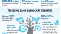 Nâng cao năng lực tiếp cận và hấp thụ vốn