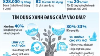 Nâng cao năng lực tiếp cận và hấp thụ vốn